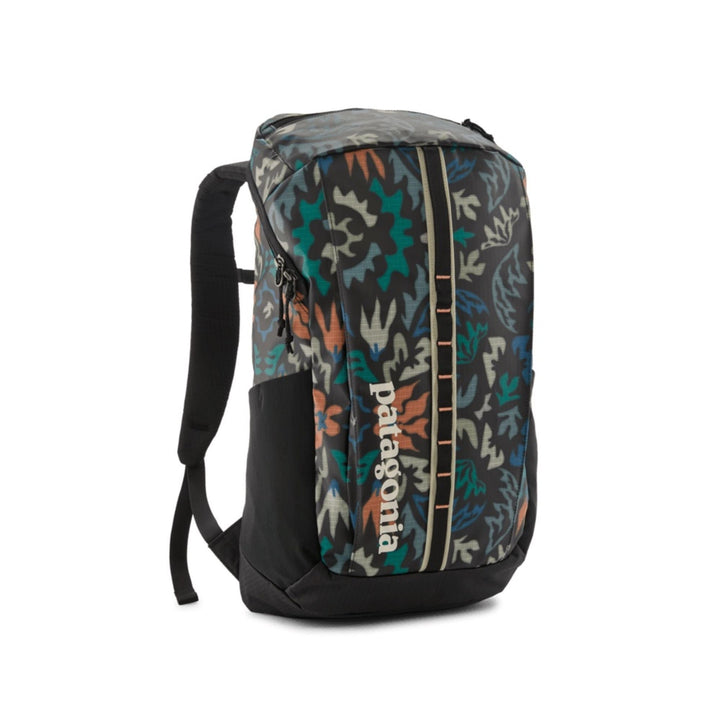 Patagonia Black Hole Pack 25L