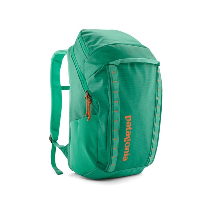 Patagonia Black Hole Pack 32L