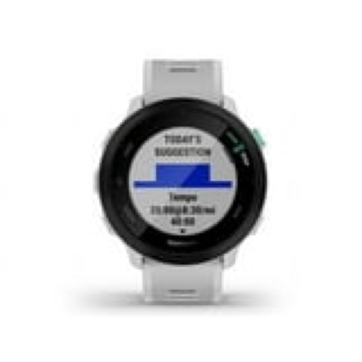 Garmin Forerunner 55 Smartwatch