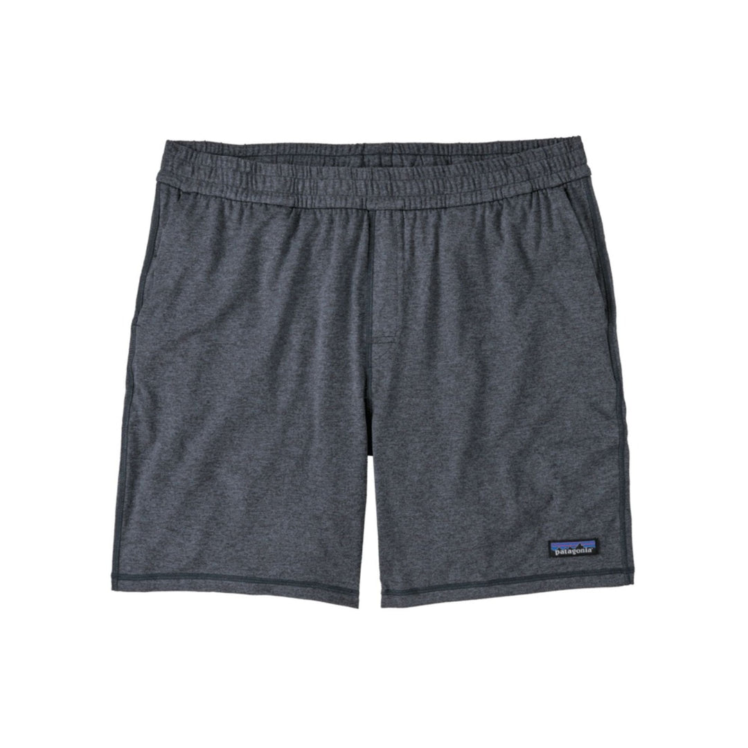 Patagonia Men's 2-Loose Shorts