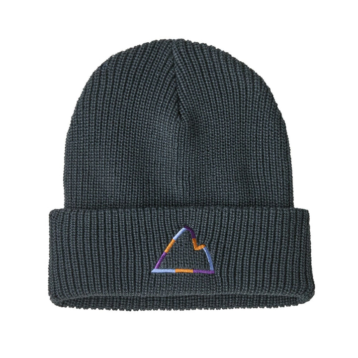 Patagonia Kids' Logo Beanie