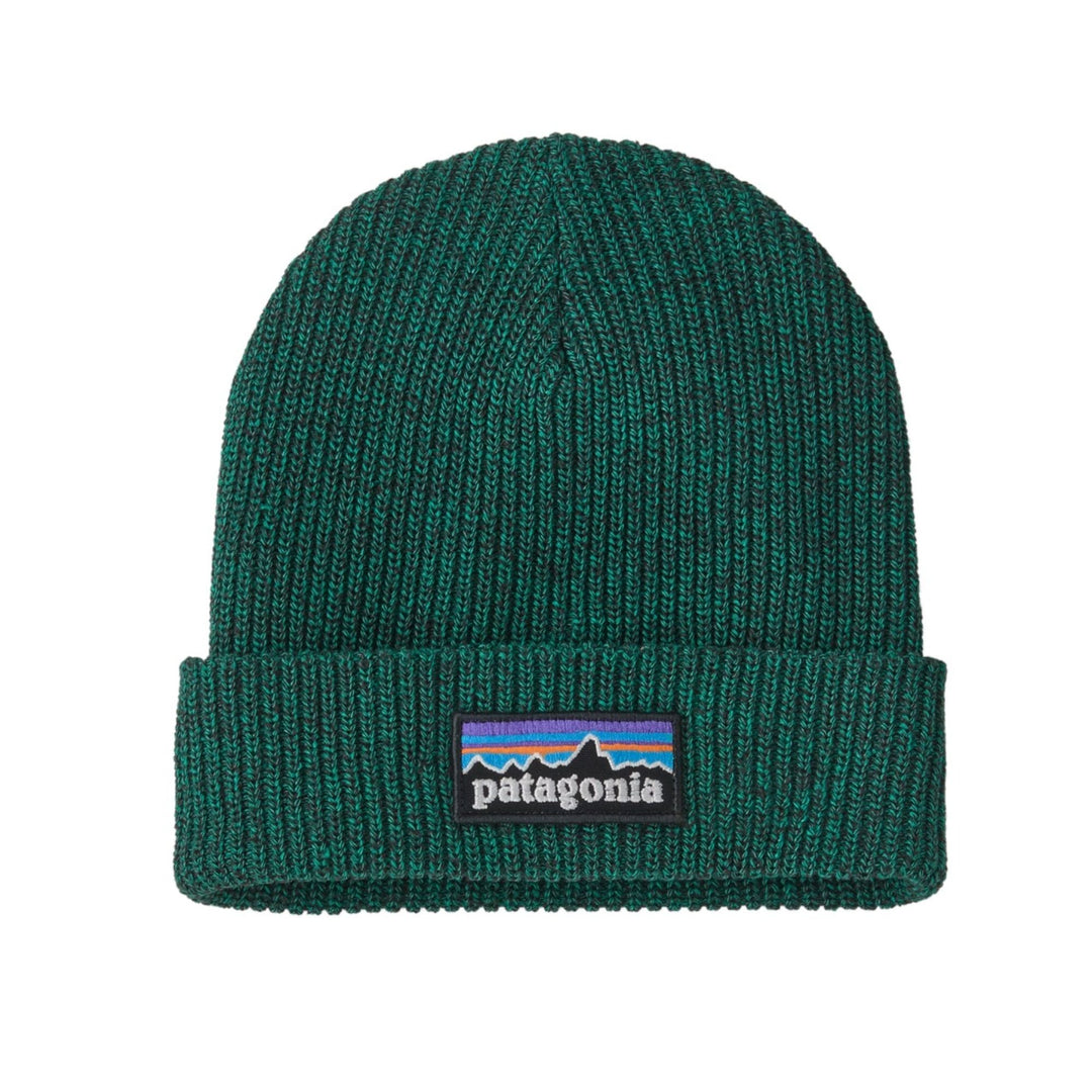 Patagonia Kids' Logo Beanie