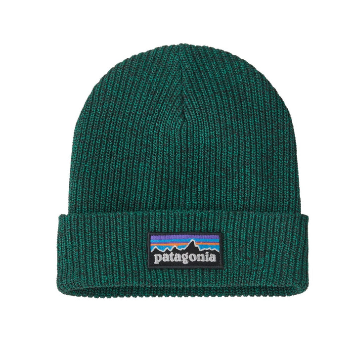 Patagonia Kids' Logo Beanie