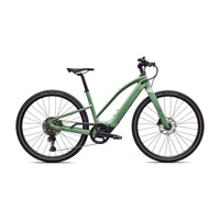 Gloss Pistachio/Oak Green Metallic Frost Reflective