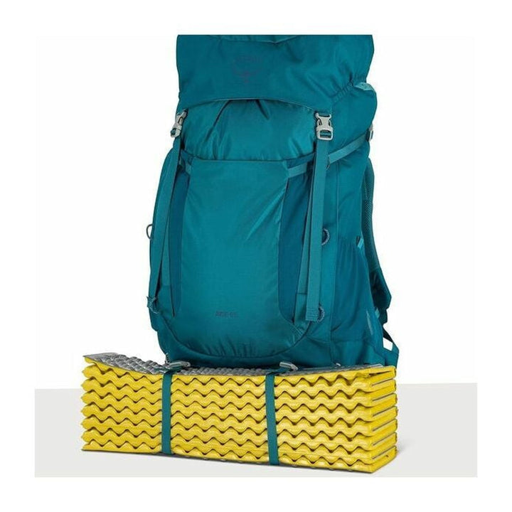 Osprey Youth Ace 65
