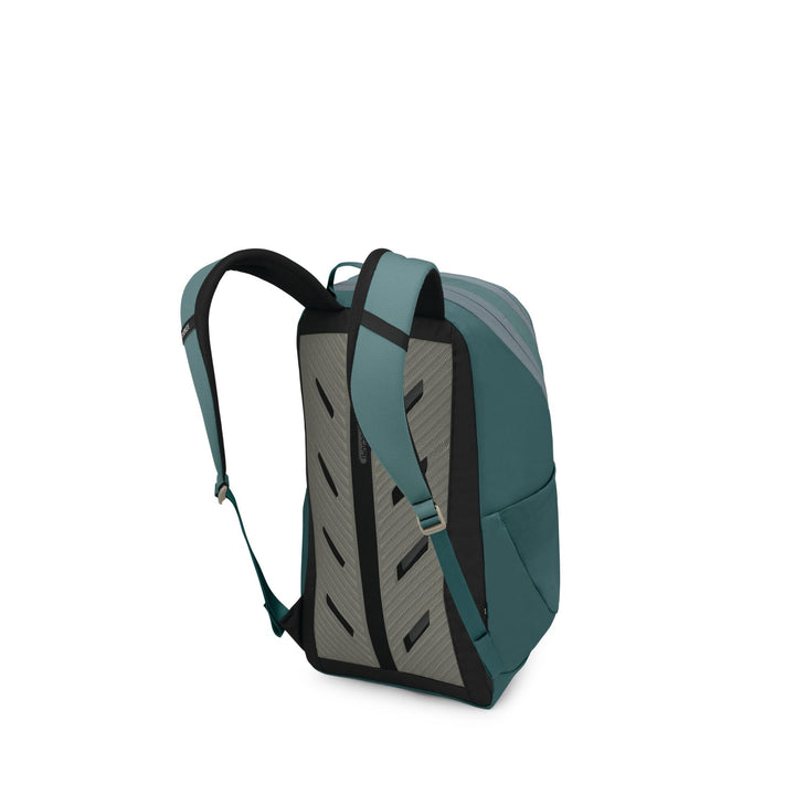 Osprey Astronova