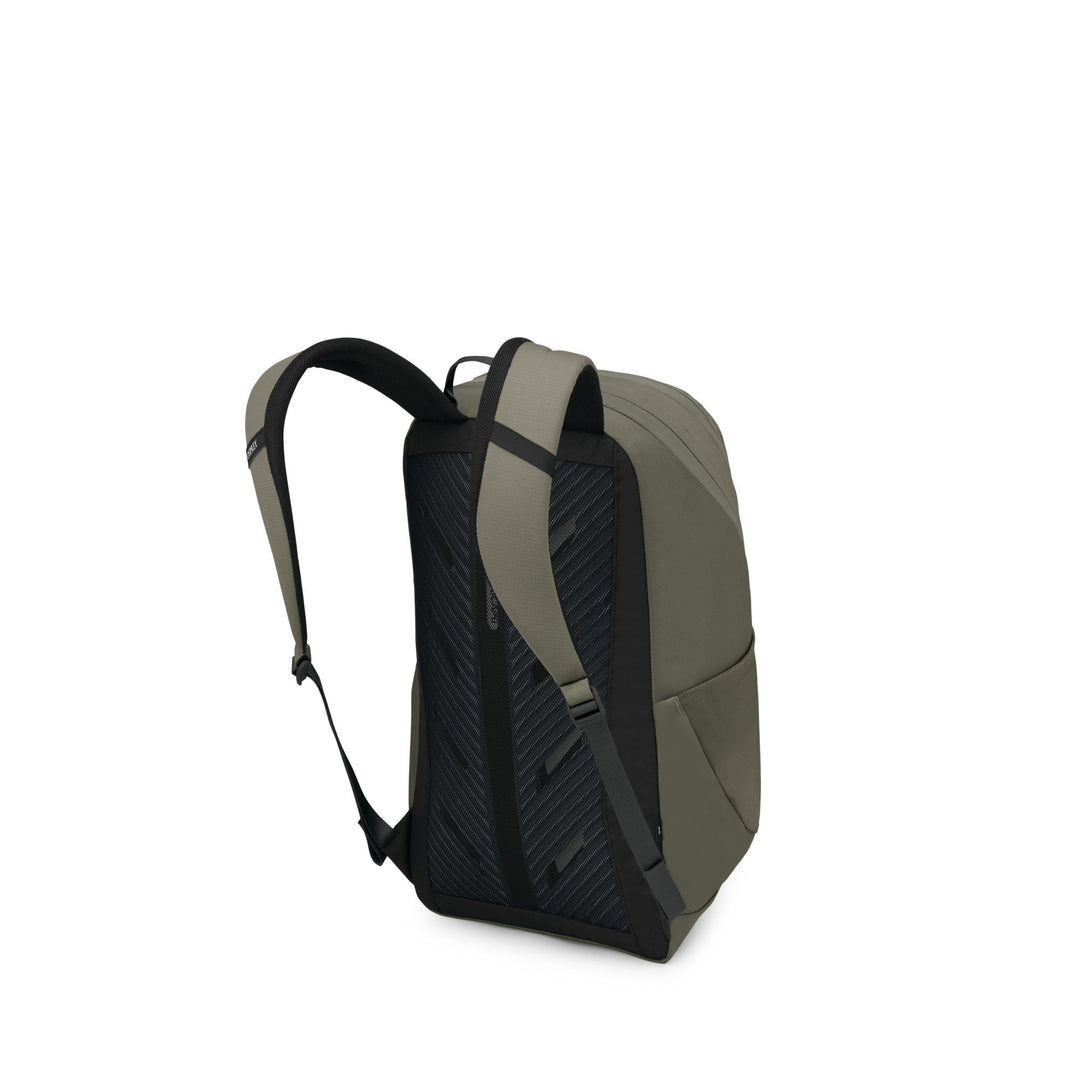 Osprey Astronova