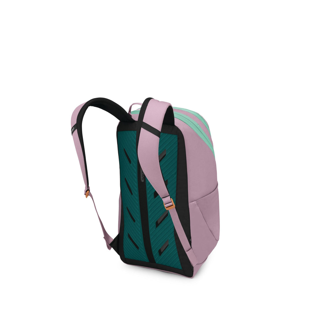 Osprey Astronova