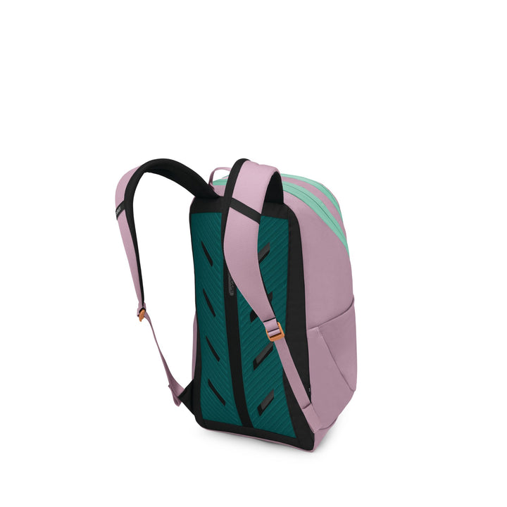 Osprey Astronova