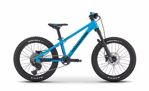 TR Blue