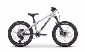 Raw Alloy