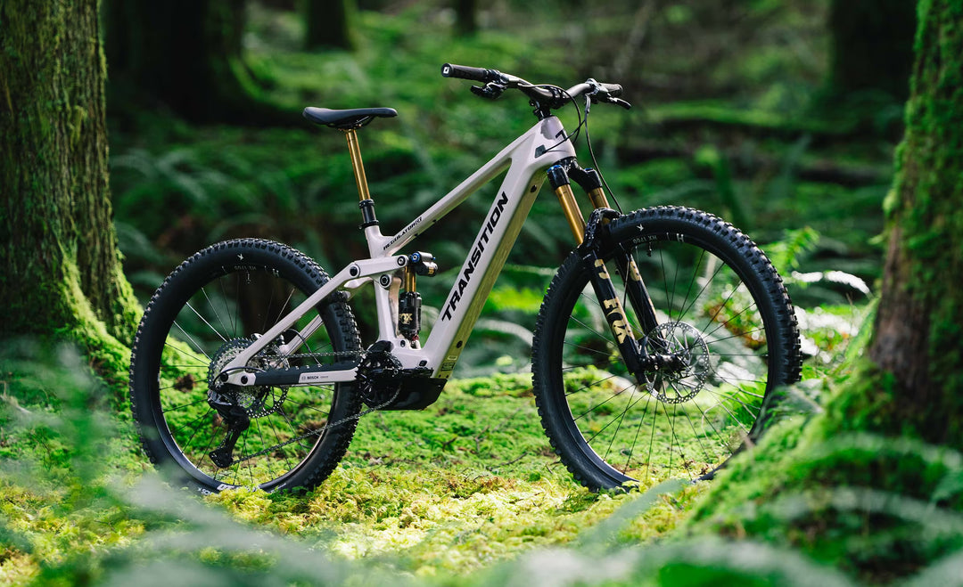 2027 Transition Regulator CX XT Di2