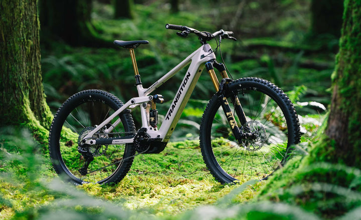 2027 Transition Regulator CX XT Di2