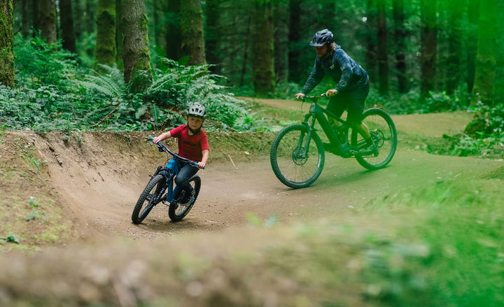 Bandit 100mm Front 20" Wheels