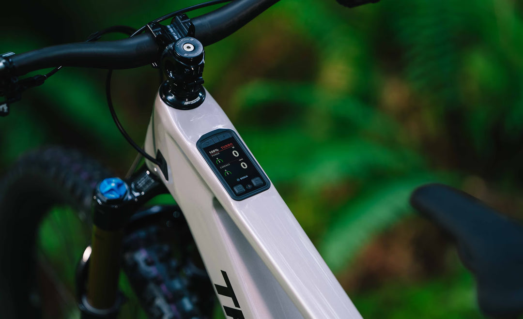 2027 Transition Regulator CX XT Di2