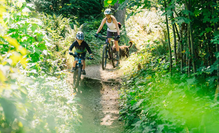 Bandit 100mm Front 20" Wheels