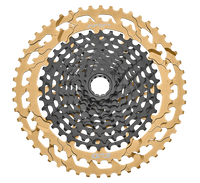Black/Gold