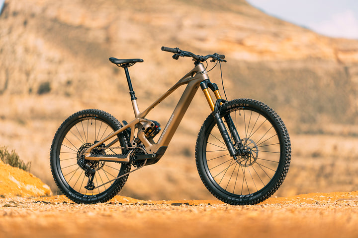 Mondraker Zendit RR