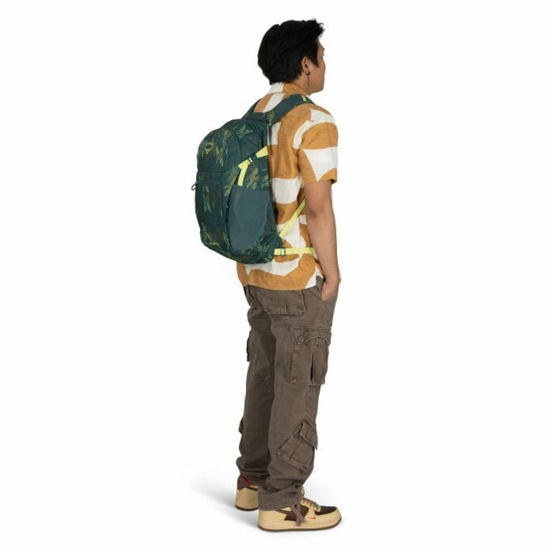 Osprey Daylite Plus