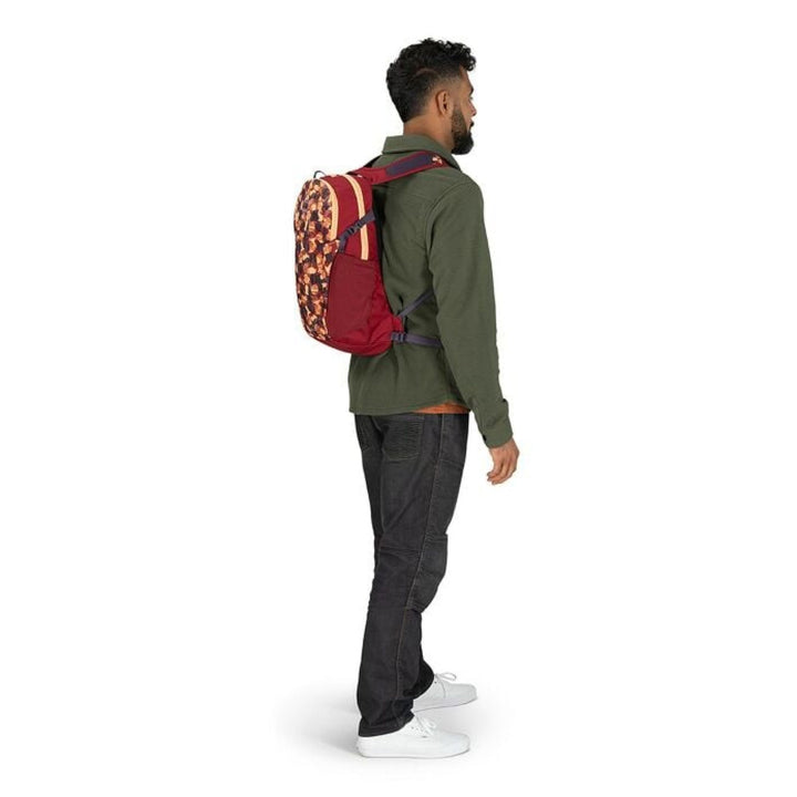 Osprey Daylite