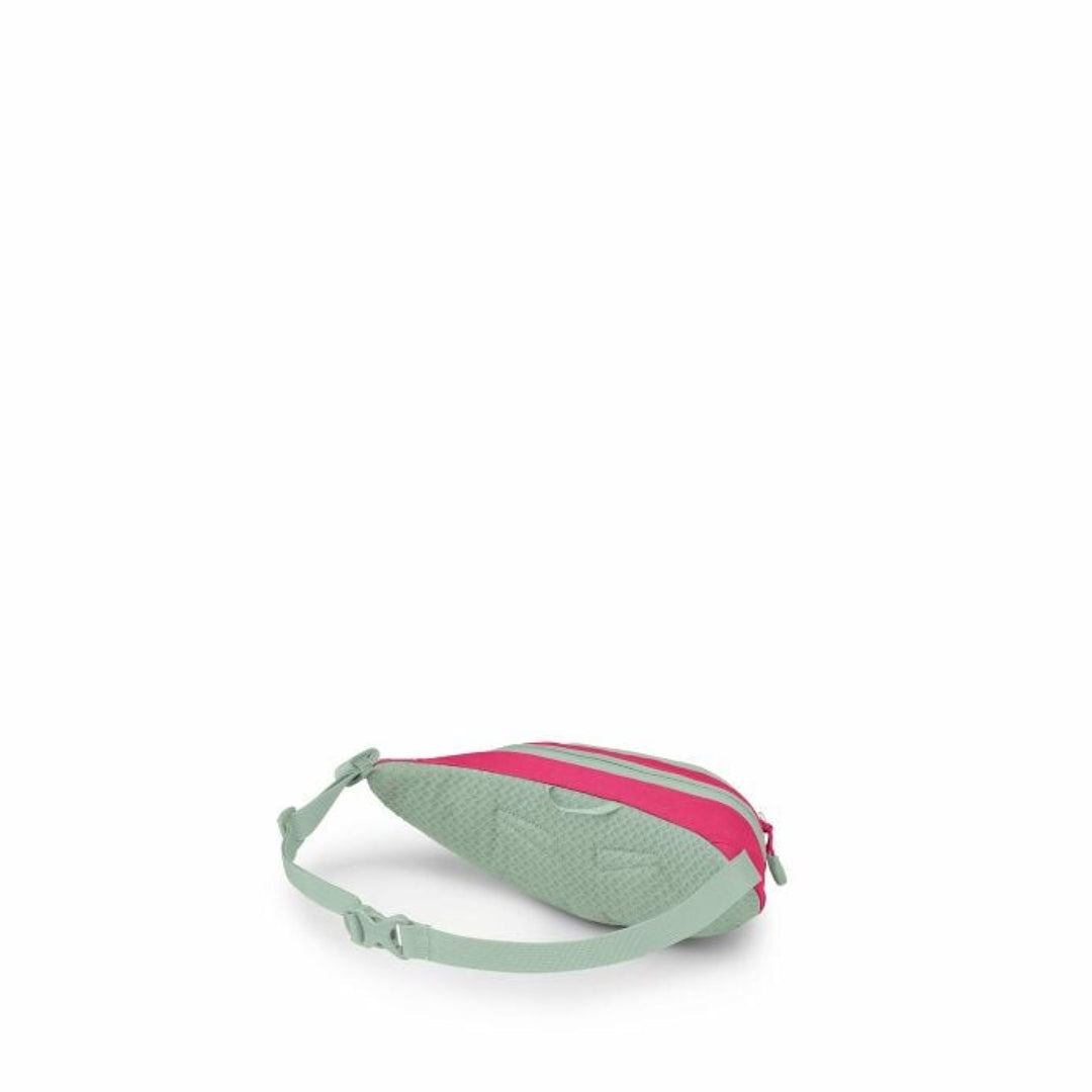 Osprey Daylite Mini Waist Pack