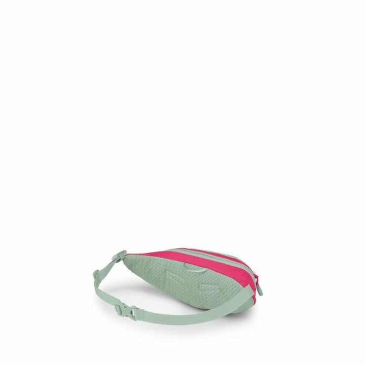 Osprey Daylite Mini Waist Pack