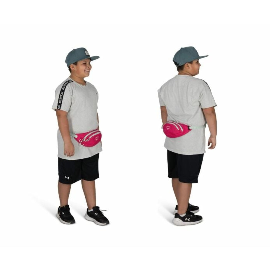Osprey Daylite Mini Waist Pack