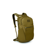 Histosol Brown