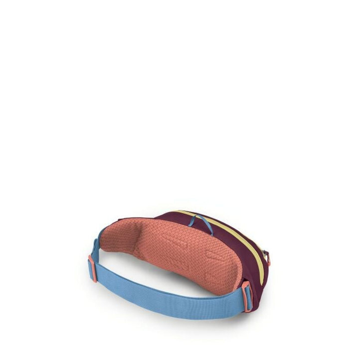 Osprey Daylite Waist