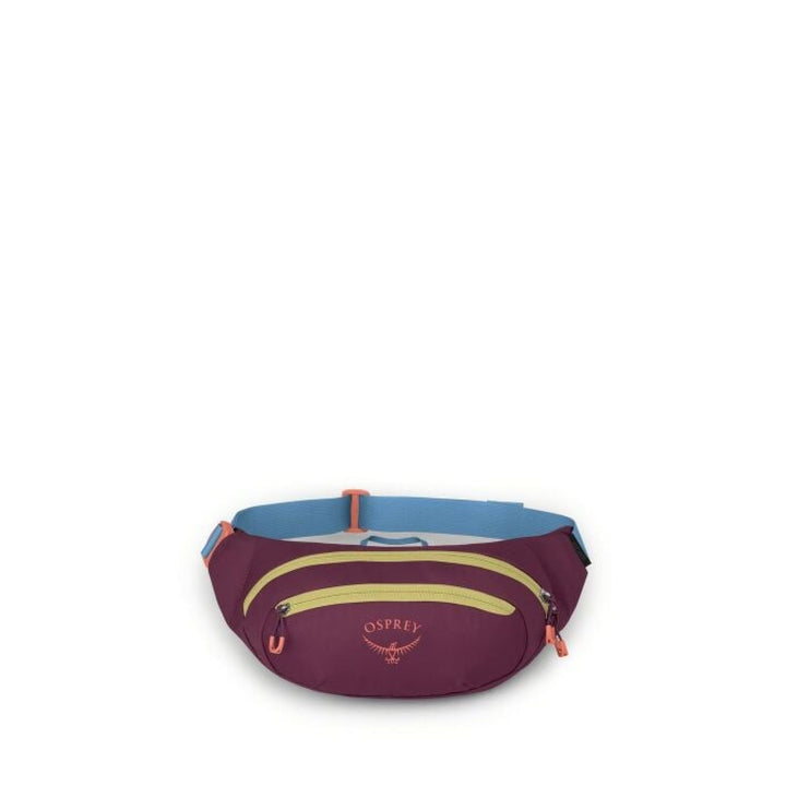 Osprey Daylite Waist