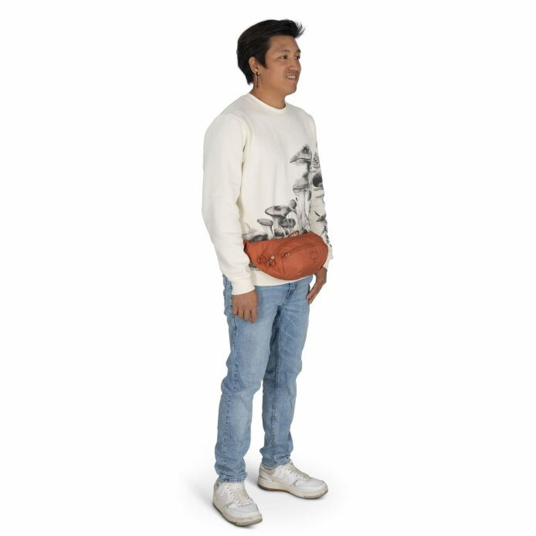 Osprey Daylite Waist