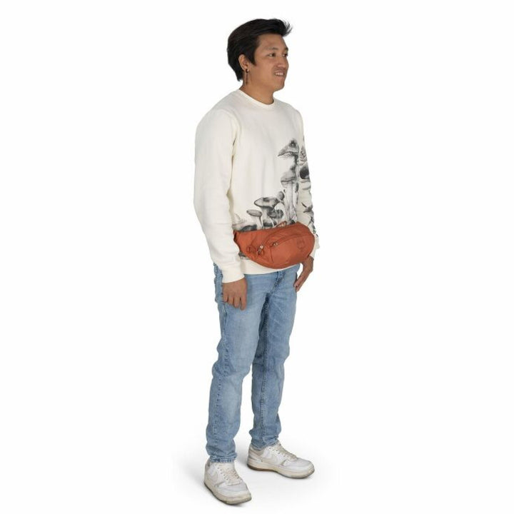 Osprey Daylite Waist