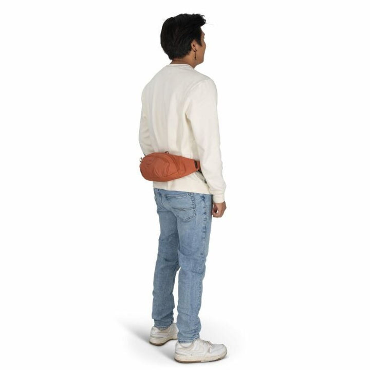 Osprey Daylite Waist