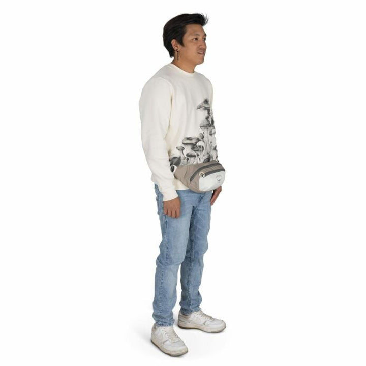 Osprey Daylite Waist