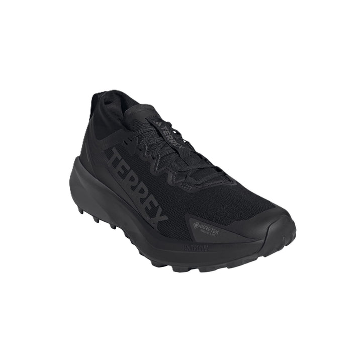 Adidas Terrex Agravic GTX Trail Shoe
