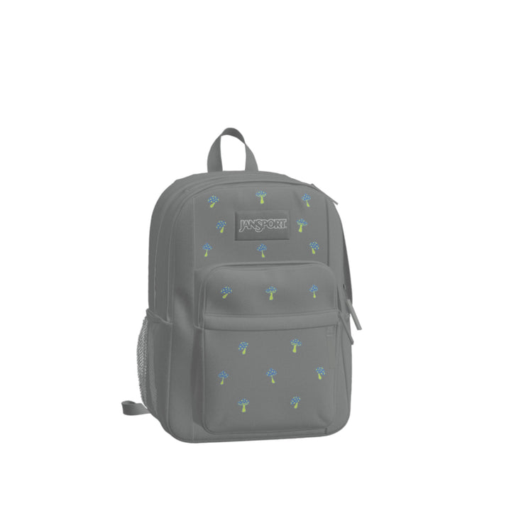 Jansport Big Plans FX