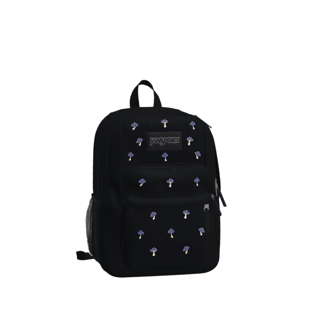 Jansport Big Plans FX