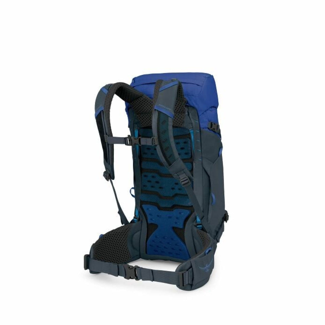 Osprey Men's Kestrel LT 28L