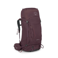 Elderberry Purple