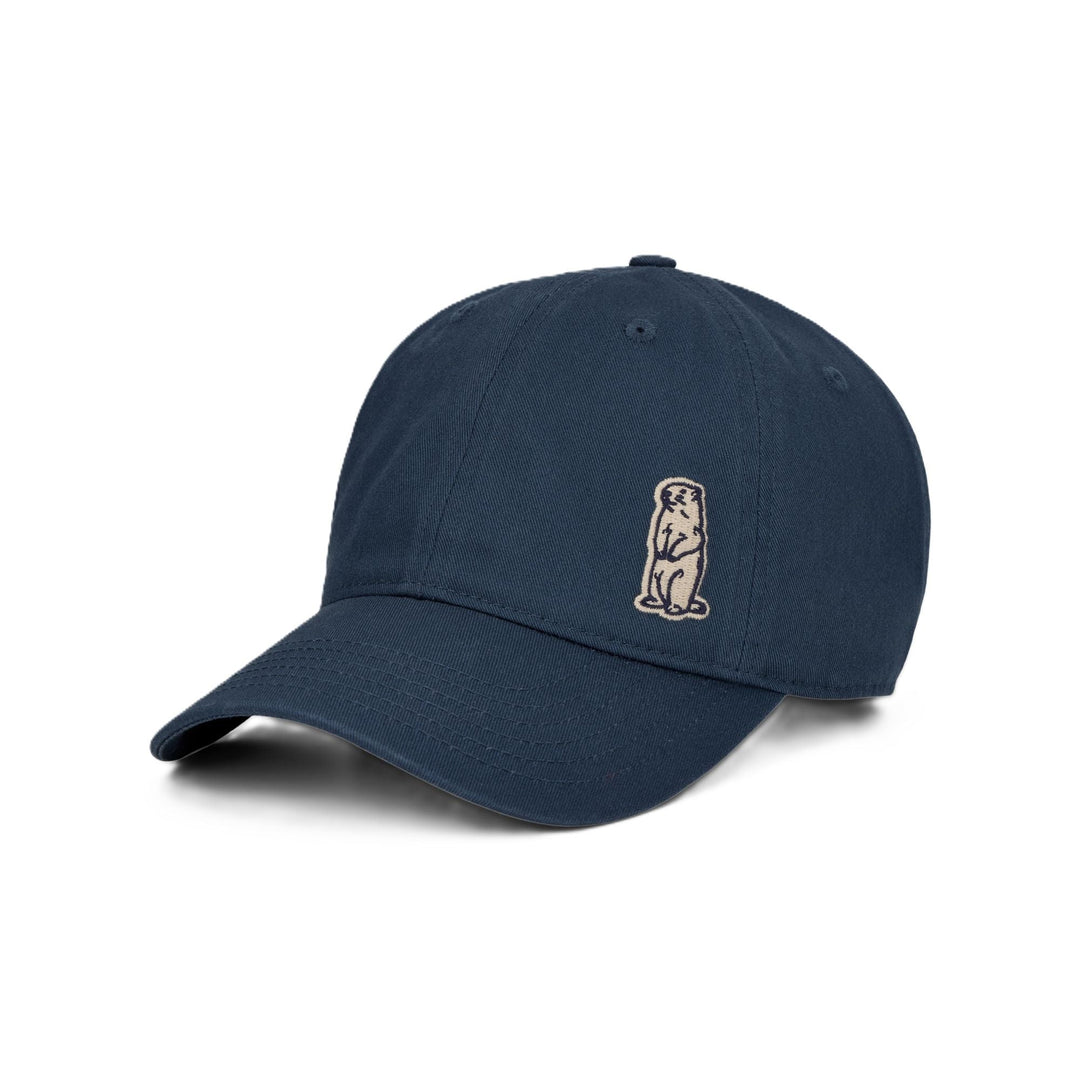 Marmot Marty Dad Cap