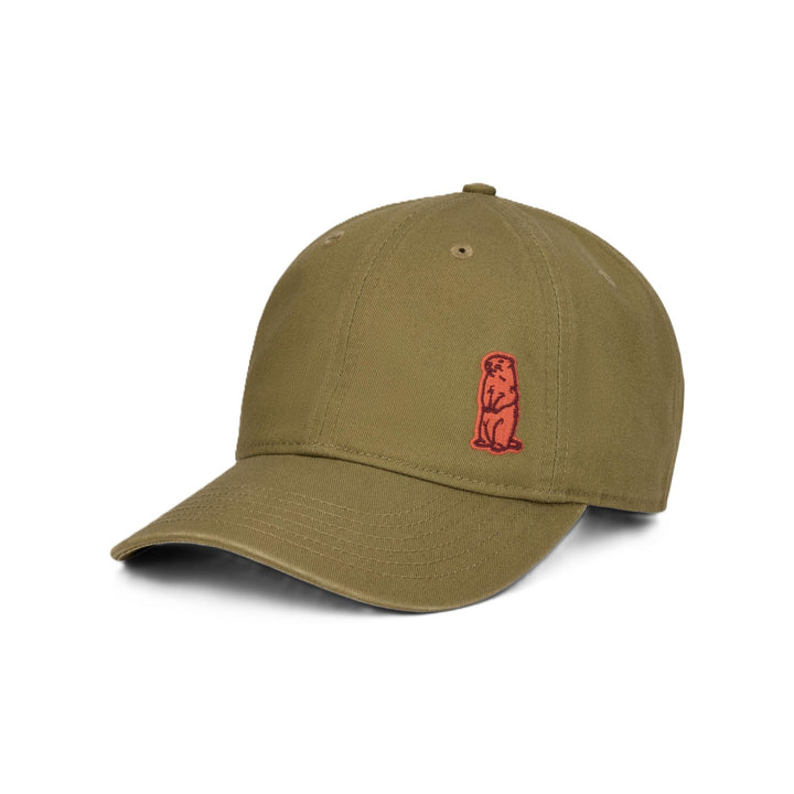Marmot Marty Dad Cap