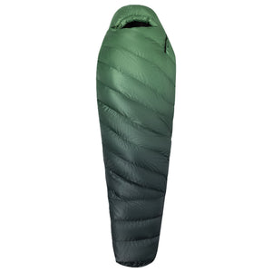 Grasshopper/Nori