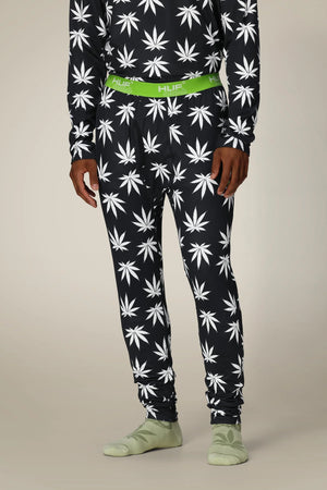 HUF PLANTLIFE