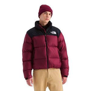 Burgundy Crush/TNF Black