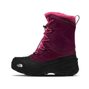 Boysenberry/TNF Black