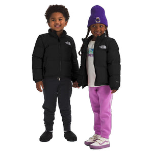 TNF Black-Recycled Down