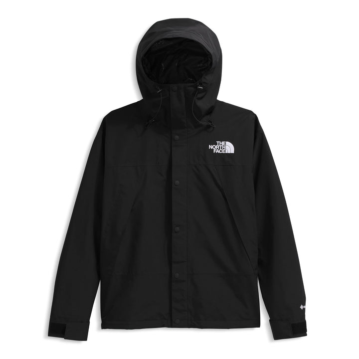 The North Face Men's GTX Mountain Jacket