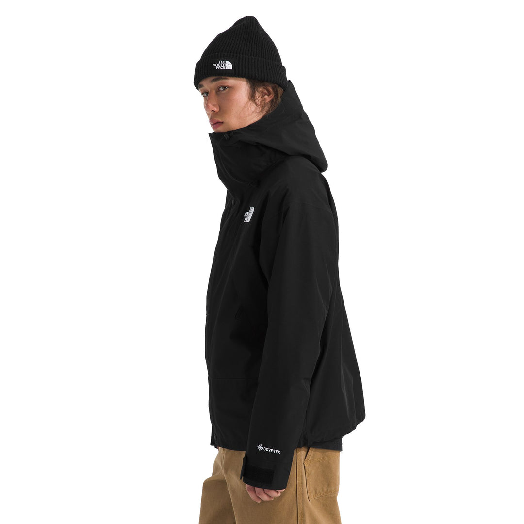 The North Face Men's GTX Mountain Jacket