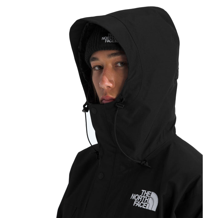 The North Face Men's GTX Mountain Jacket