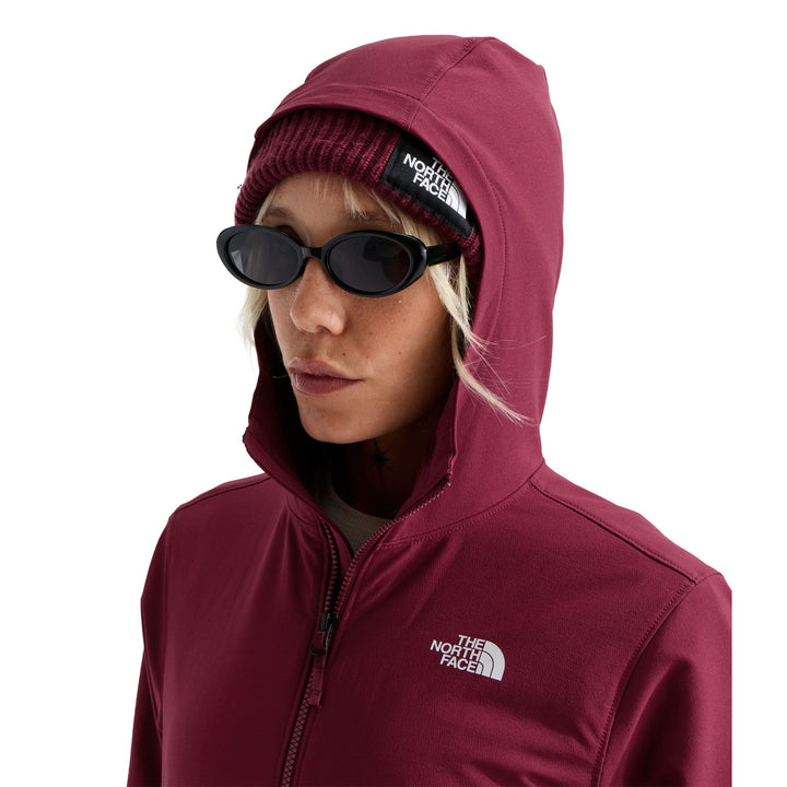 The North Face Women's Shelbe Raschel Hoodie